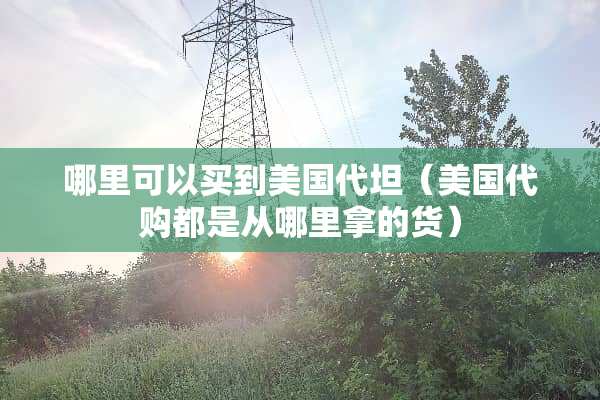 哪里可以买到美国代坦（美国代购都是从哪里拿的货）