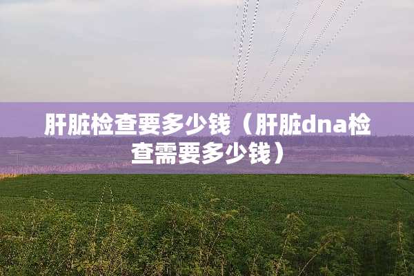 肝脏检查要多少钱（肝脏dna检查需要多少钱）