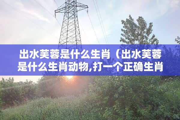 出水芙蓉是什么生肖（出水芙蓉是什么生肖动物,打一个正确生肖）