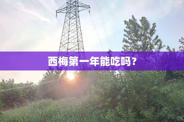 西梅第一年能吃吗？