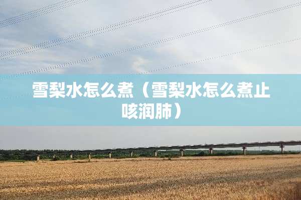 雪梨水怎么煮（雪梨水怎么煮止咳润肺）