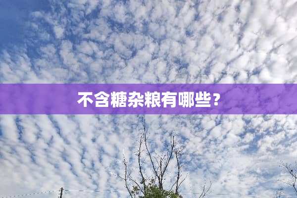 不含糖杂粮有哪些？