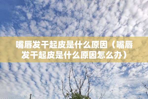 嘴唇发干起皮是什么原因（嘴唇发干起皮是什么原因怎么办）