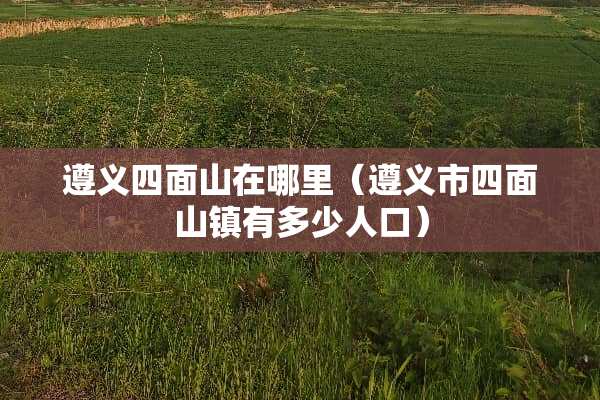 遵义四面山在哪里（遵义市四面山镇有多少人口）