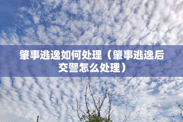 肇事逃逸如何处理（肇事逃逸后交警怎么处理）