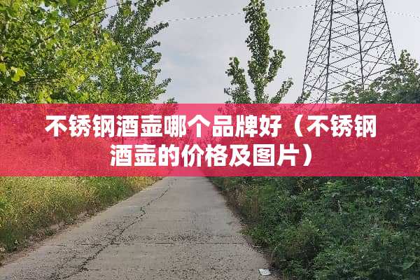 不锈钢酒壶哪个品牌好（不锈钢酒壶的价格及图片）