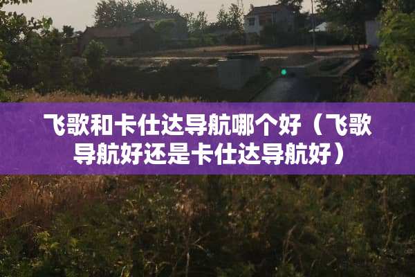 飞歌和卡仕达导航哪个好（飞歌导航好还是卡仕达导航好）