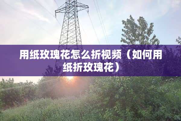 用纸玫瑰花怎么折视频（如何用纸折玫瑰花）