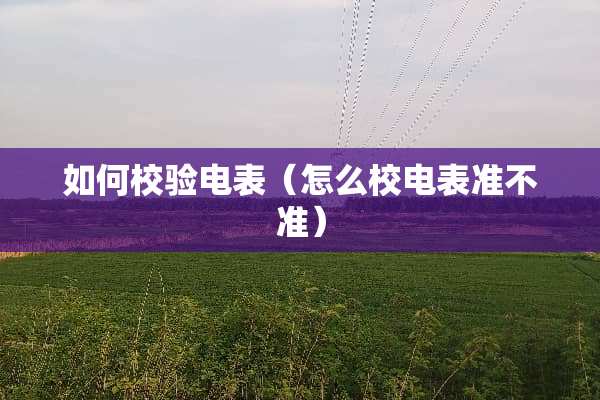 如何校验电表（怎么校电表准不准）