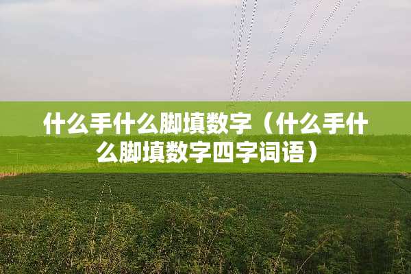 什么手什么脚填数字（什么手什么脚填数字四字词语）