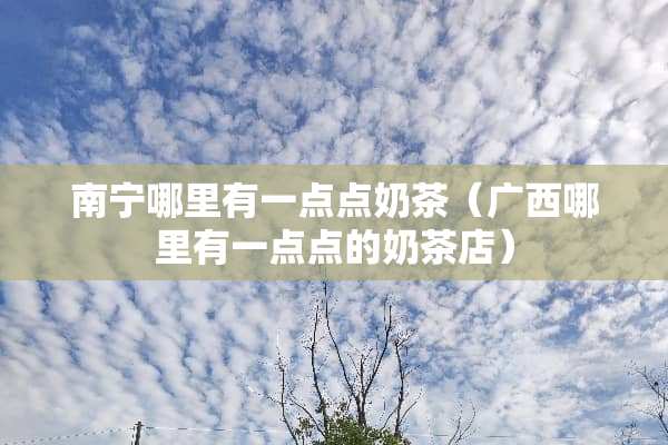 南宁哪里有一点点奶茶（广西哪里有一点点的奶茶店）