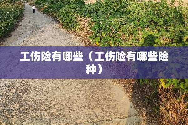 工伤险有哪些（工伤险有哪些险种）