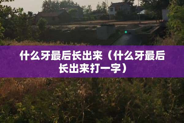 什么牙最后长出来（什么牙最后长出来打一字）