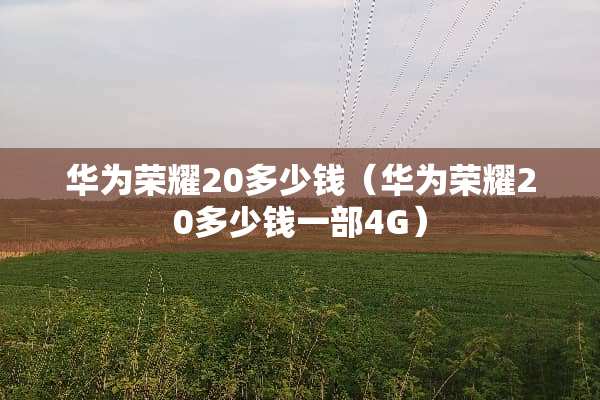 华为荣耀20多少钱（华为荣耀20多少钱一部4G）