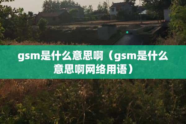 gsm是什么意思啊（gsm是什么意思啊网络用语）