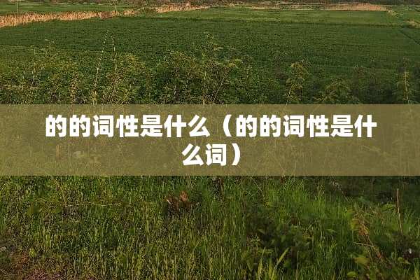 的的词性是什么（的的词性是什么词）