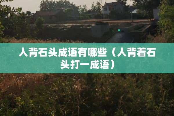 人背石头成语有哪些（人背着石头打一成语）