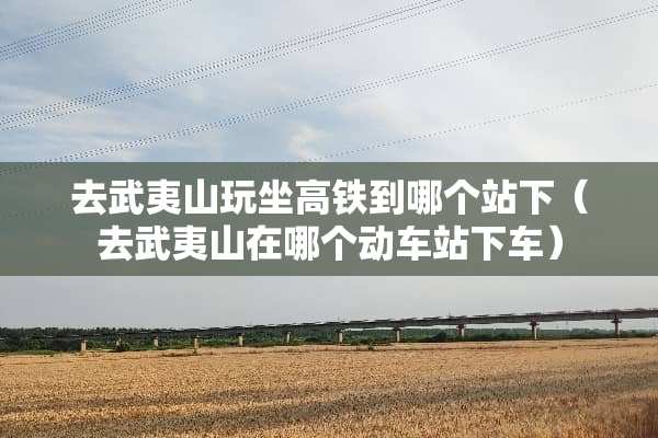 去武夷山玩坐高铁到哪个站下（去武夷山在哪个动车站下车）