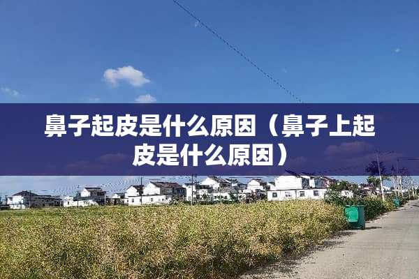 鼻子起皮是什么原因（鼻子上起皮是什么原因）