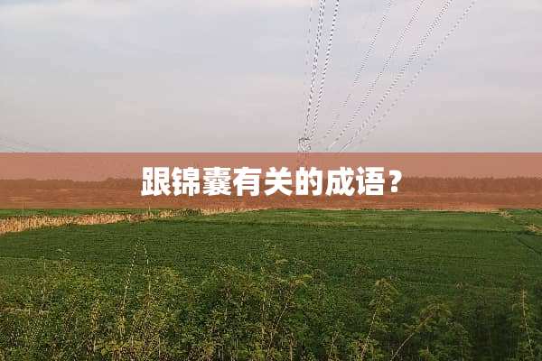 跟锦囊有关的成语？