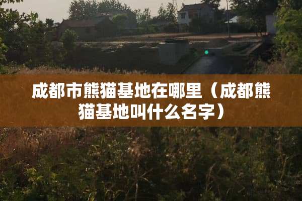 成都市熊猫基地在哪里（成都熊猫基地叫什么名字）