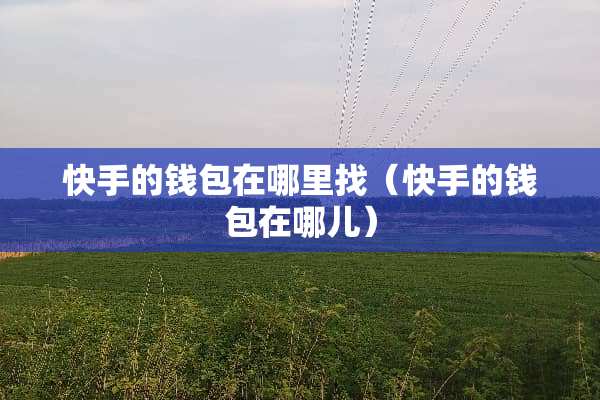 快手的钱包在***（快手的钱包在哪儿）