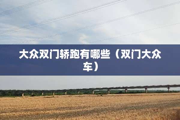 大众双门轿跑有哪些（双门大众车）