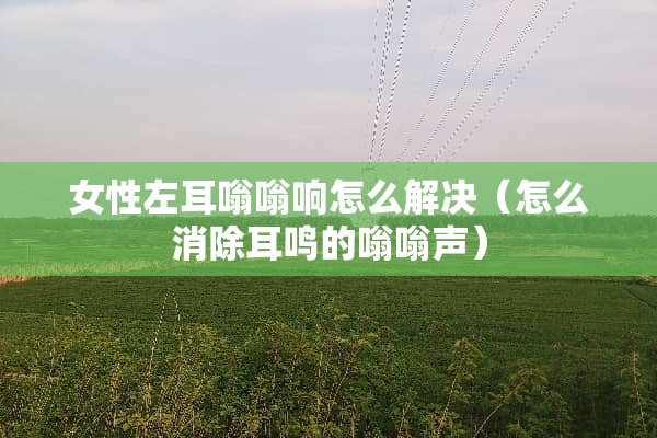 女性左耳嗡嗡响怎么解决（怎么消除耳鸣的嗡嗡声）