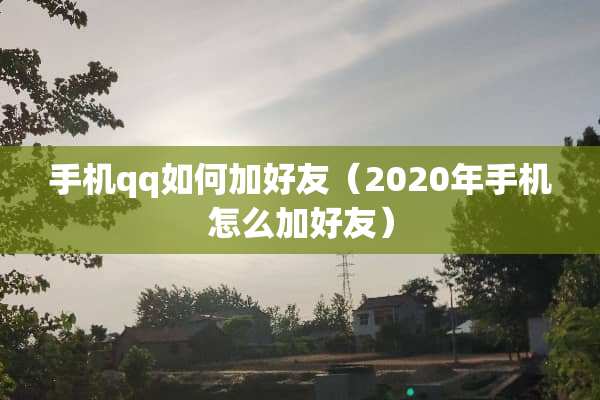 手机qq如何加好友（2020年手机怎么加好友）