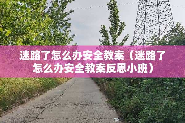 迷路了怎么办安全教案（迷路了怎么办安全教案反思小班）