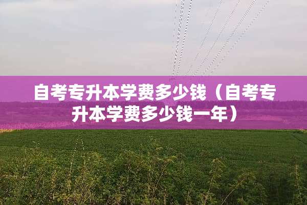 自考专升本学费多少钱（自考专升本学费多少钱一年）