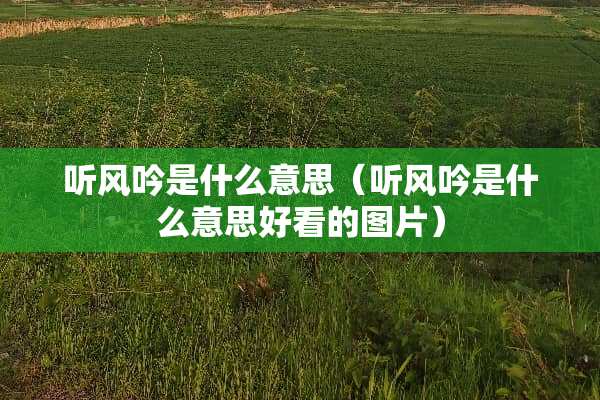 听风吟是什么意思（听风吟是什么意思好看的图片）