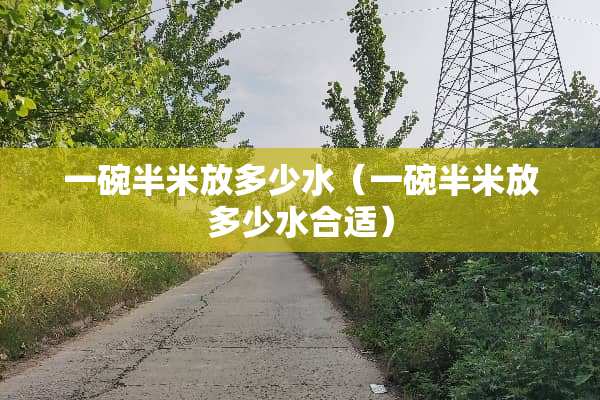 一碗半米放多少水（一碗半米放多少水合适）