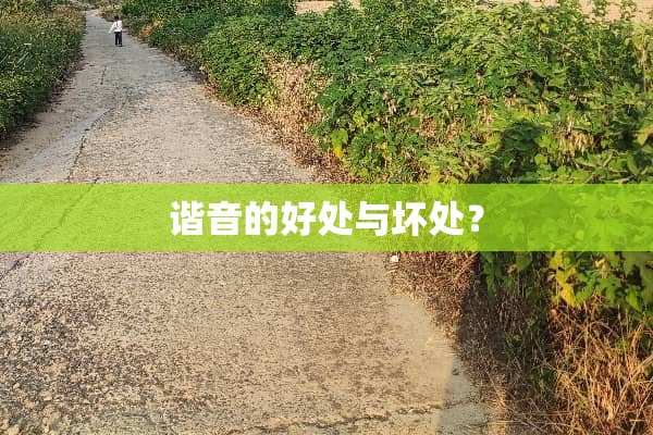 谐音的好处与坏处？