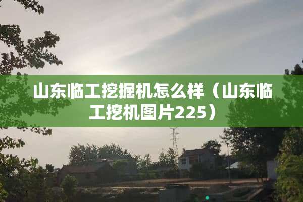 山东临工挖掘机怎么样（山东临工挖机图片225）