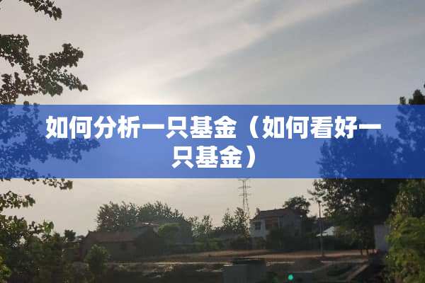 如何分析一只基金（如何看好一只基金）