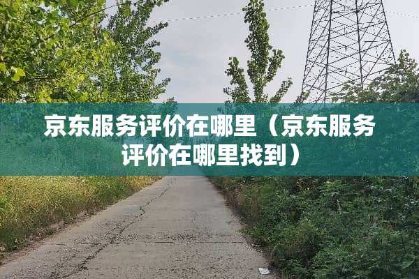 京东服务评价在哪里（京东服务评价在***到）