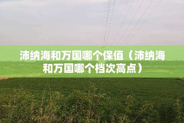 沛纳海和万国哪个保值（沛纳海和万国哪个档次高点）