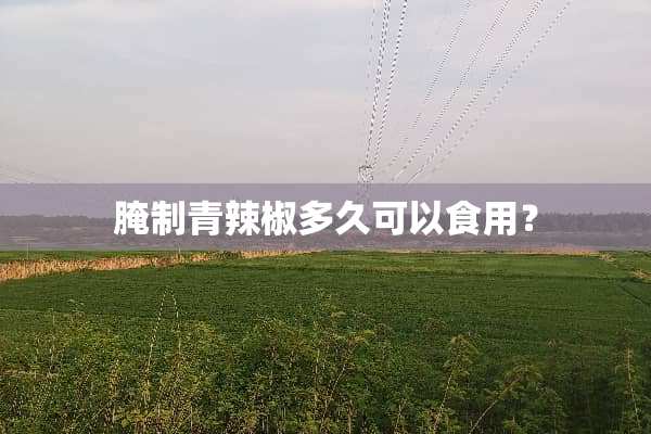 腌制青辣椒多久可以食用？