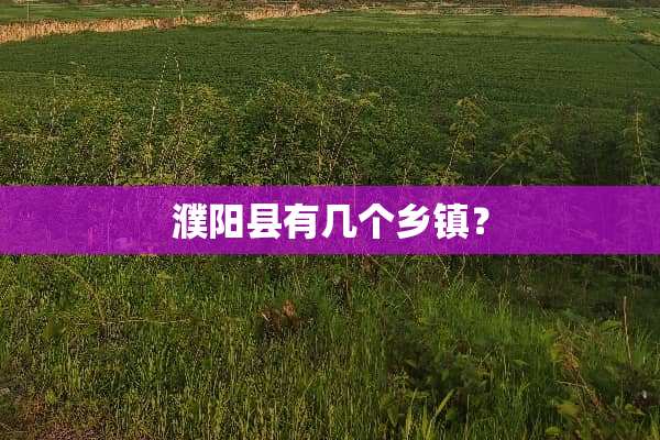 濮阳县有几个乡镇？