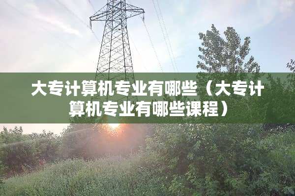 大专计算机专业有哪些（大专计算机专业有哪些课程）