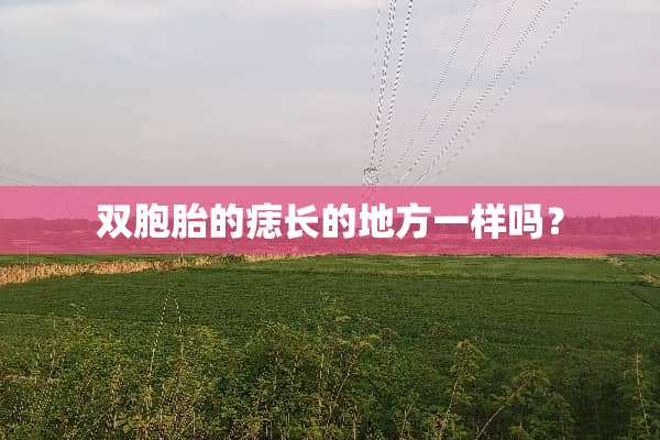 双胞胎的痣长的地方一样吗？