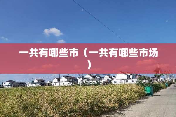 一共有哪些市（一共有哪些市场）