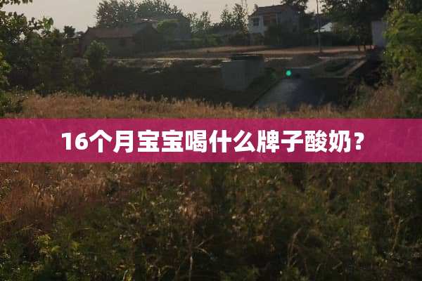 16个月宝宝喝什么牌子酸奶？