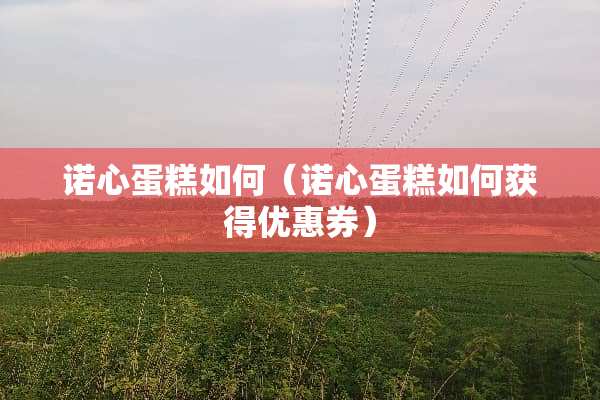 诺心蛋糕如何（诺心蛋糕如何获得优惠券）