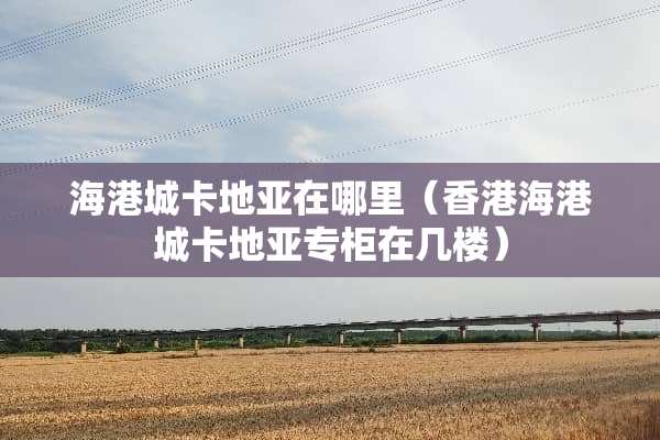 海港城卡地亚在哪里（香港海港城卡地亚专柜在几楼）