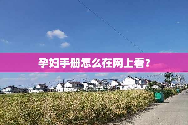 孕妇手册怎么在网上看？