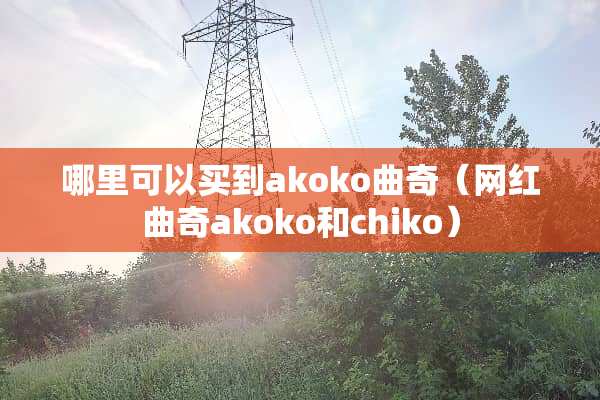 哪里可以买到akoko曲奇（网红曲奇akoko和chiko）