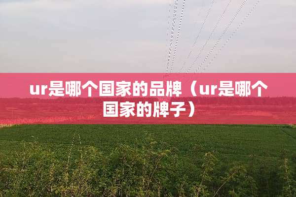 ur是哪个国家的品牌（ur是哪个国家的牌子）