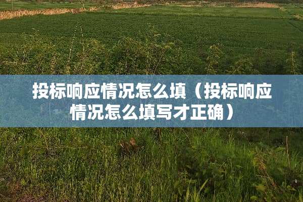 投标响应情况怎么填（投标响应情况怎么填写才正确）